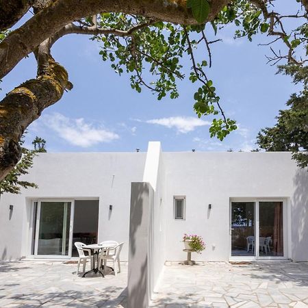 Aparthotel Prasino Oniro Tínos Exterior foto